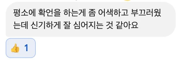 평소에 확언을 하는게 좀 어색하고 부끄러웠는데 신기하게 잘 심어지는 것 같아요
